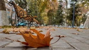 At the end of October, the air temperature decreases