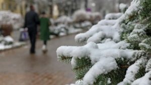 14-yanvar: O‘zbekistonda iliq va asosan quruq havo.
