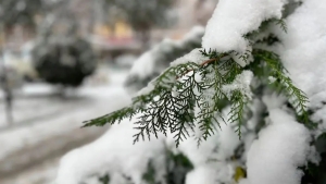 In Uzbekistan, the weather will cool down in the second half of the week