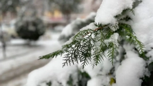 In Uzbekistan, the weather will cool down in the second half of the week