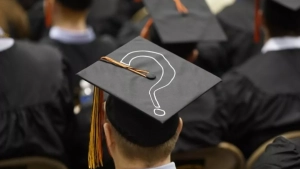 New requirements have been introduced for higher education institutions