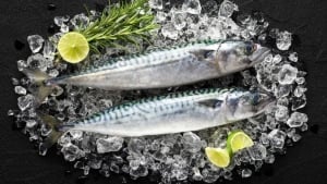 The price of mackerel in Tashkent has sharply increased