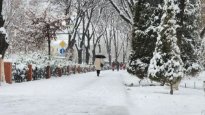 At the beginning of December, the weather will be calm and stable