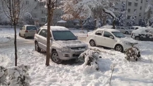 Meteorologists: Reports about -25 degrees are false