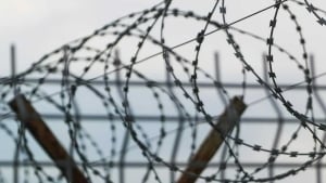 An Uzbek sentenced to 4 years in prison in Omsk