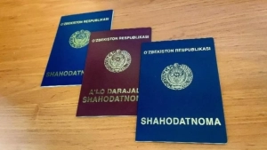 Школьные оценки не учитываются при поступлении в высшее образование