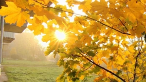 November 15: Warm and clear weather across Uzbekistan