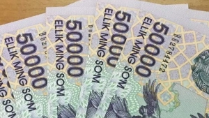 New reforms in the state social insurance system