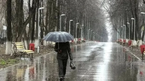 From February 9 to 11, strong winds and precipitation are expected
