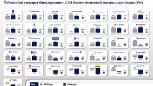 How did Uzbekistan's commercial banks conclude the year 2024?