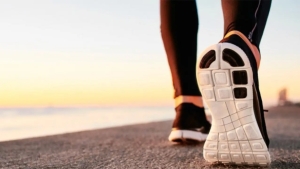 The Six Thousand Steps Project and the new platform have launched their activities.