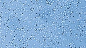 Scientists revived a 3.2 billion-year-old enzyme