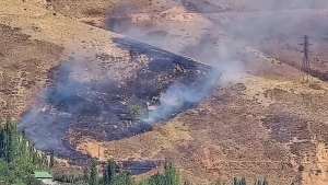 Forest fire in Bostanliq quickly extinguished