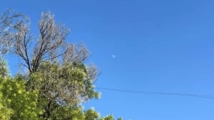 9 iyulda O‘zbekistonda issiq va chang bo‘roni kutilmoqda
