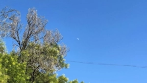 A hot and dust storm is expected in Uzbekistan on July 9