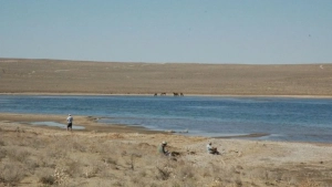 Proposal to divert Siberian waters to restore the Aral Sea