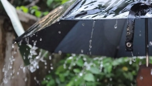 On February 10, the weather in Uzbekistan will be unstable