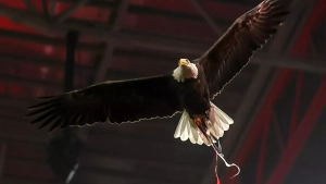 Benfika himoyachilari Qarabog‘ga mag‘lub bo‘ldi