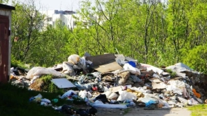 В Узбекистане увеличивается количество экологических преступлений