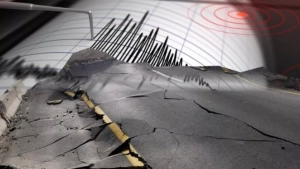 В Узбекистане зафиксировано землетрясение в Кыргызстане