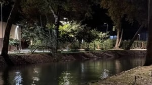 O‘zbekistonda havo sifati noyabr oxirigacha o‘zgarmaydi