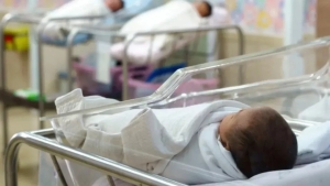 The birth rate has decreased since the beginning of the year, experts are concerned