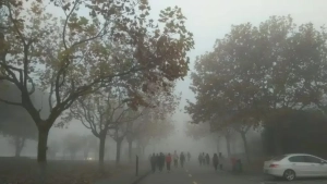 Toshkent havosi iflosligi bo‘yicha dunyoda ikkinchi bo‘ldi