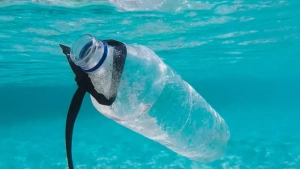 Xitoylik olimlar o'zidan mikroplastik qoldirmaydigan tirik plastik yaratdi