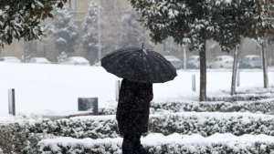 On December 11, the weather will be variable