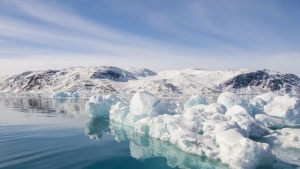 Muzliklarning erishi qadimiy viruslar uyg'onishiga sabab bo'lishi mumkin