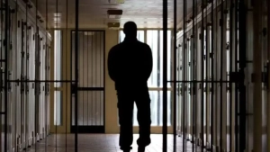 More than 63 thousand criminal cases were heard in 2025