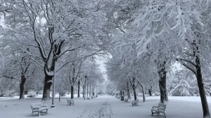 Warm days are expected in December, with a chance of precipitation