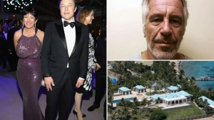 Epshteyn case: Elon Musk supported transparency