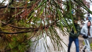 December 25: Warm and calm weather expected in Uzbekistan