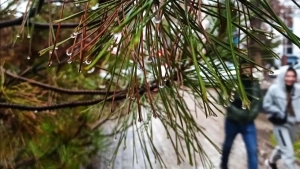 25-dekabr: O‘zbekistonda iliq va sokin ob-havo kutilmoqda