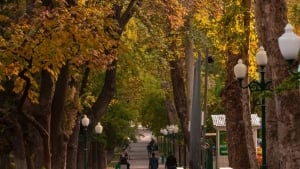 O‘zbekistonda hafta davomida issiq va quyoshli ob-havo