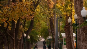 Hot and sunny weather in Uzbekistan throughout the week