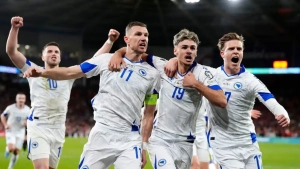 The Bosnia and Herzegovina national team has advanced to the final