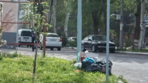 Tashkent is developing in smart cities, but there are problems