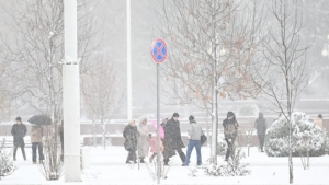 On January 22, cold and foggy weather in Uzbekistan