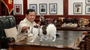 Indoneziyada prezident mushugiga davlat muhofazasi berildi