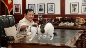 Indoneziyada prezident mushugiga davlat muhofazasi berildi