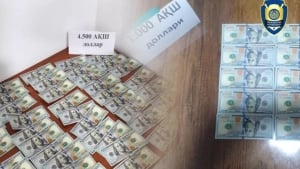 Обнаружено мошенничество при трудоустройстве за границей