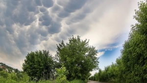 O‘zbekistonda havo iliqlashadi, yomg‘ir ehtimoli bor.