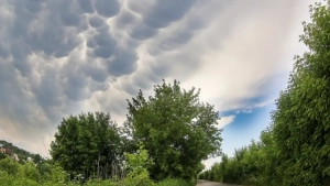 В Узбекистане потеплеет, возможен дождь