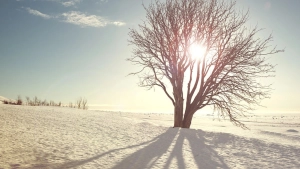 Fifty degrees of cold are expected in Kazakhstan in the coming days.