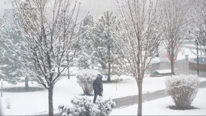 Avalanche risk in the mountains: be careful!