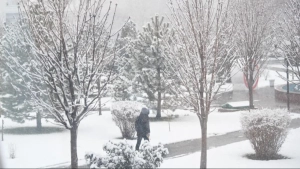 Avalanche risk in the mountains: be careful!