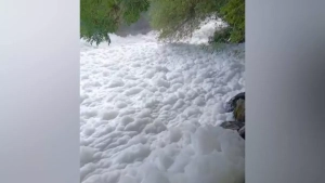 В Андиджане установлено, что канализационные воды загрязнили швейную фабрику