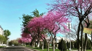 O‘zbekistonning ayrim hududlarida chorshanba kuni yomg‘ir yog‘ishi kutilmoqda